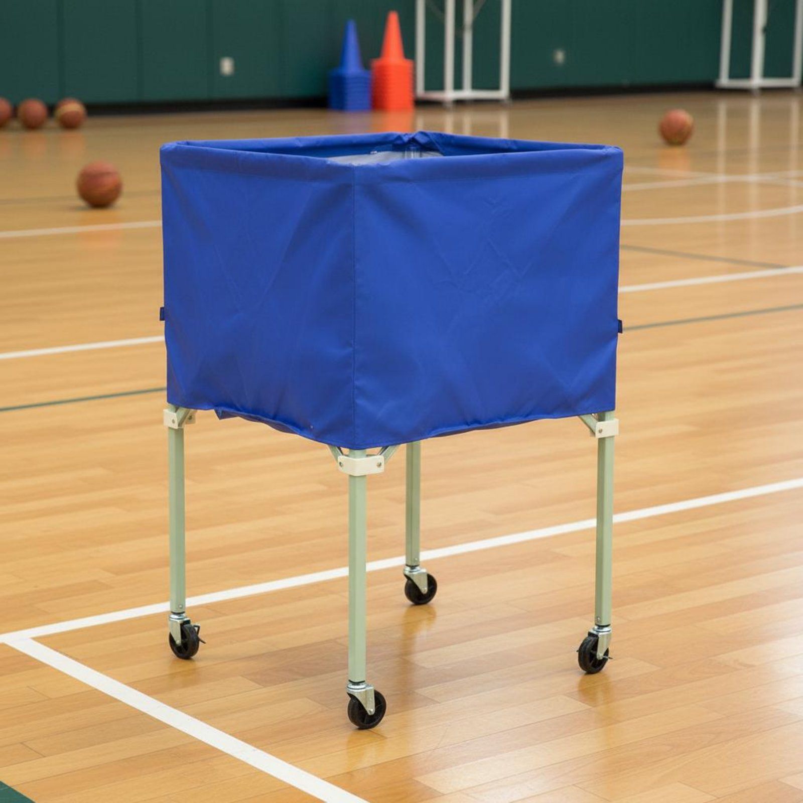 Penutup Kendaraan Beroda Pelin - Sports Equipment Rack ulasan dan harga